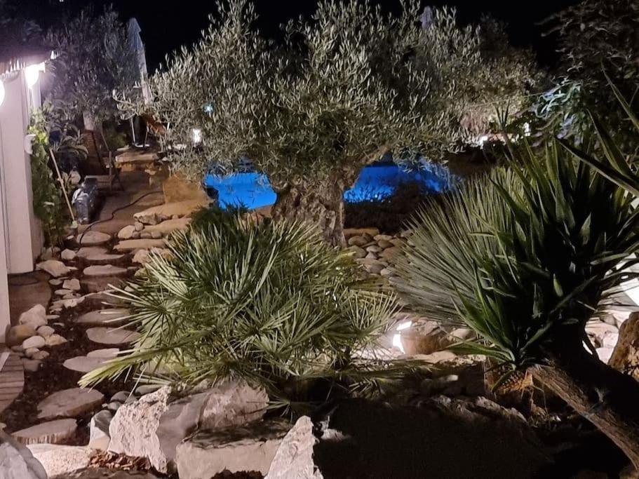Une Oasis Au Pays De Cezanne エクス＝アン＝プロヴァンス エクステリア 写真