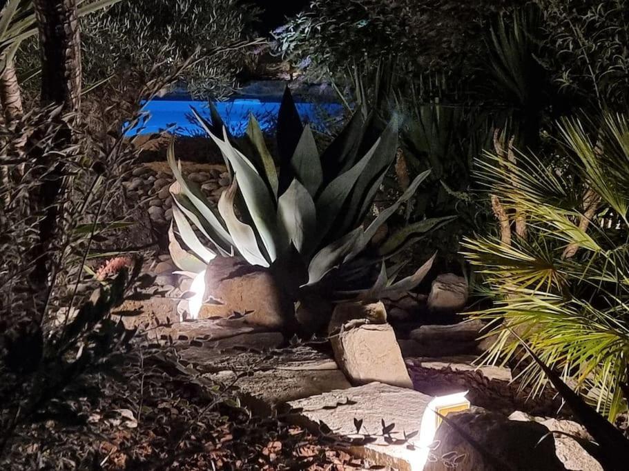 Une Oasis Au Pays De Cezanne エクス＝アン＝プロヴァンス エクステリア 写真